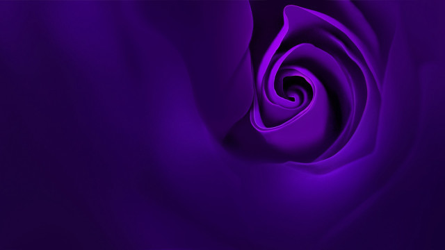Purple rose large center 3d free wallpaper - medium preview image