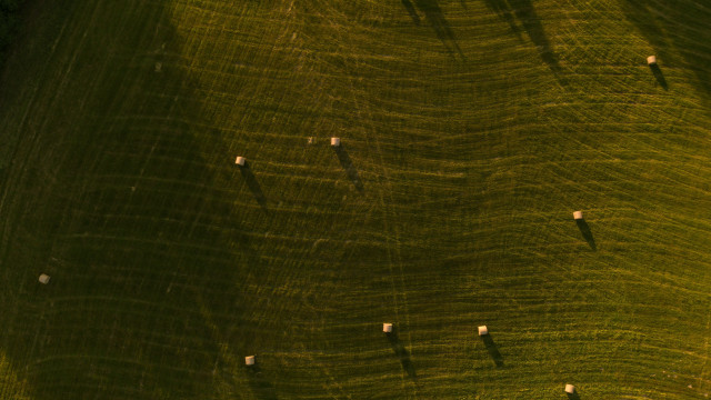 Sheep field shadow abstract microscopic free wallpaper - medium preview image