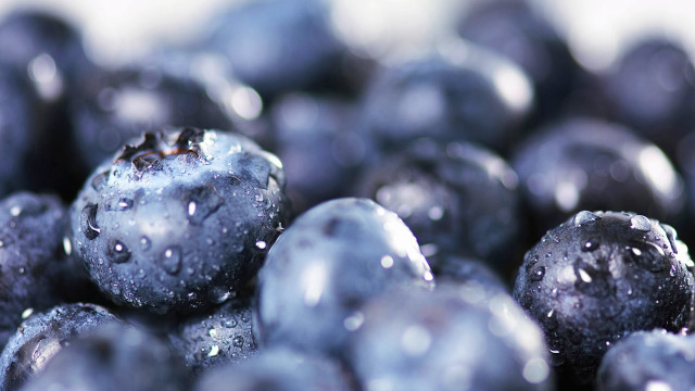 Blueberries water droplets macro bokeh #2 free wallpaper - medium preview image