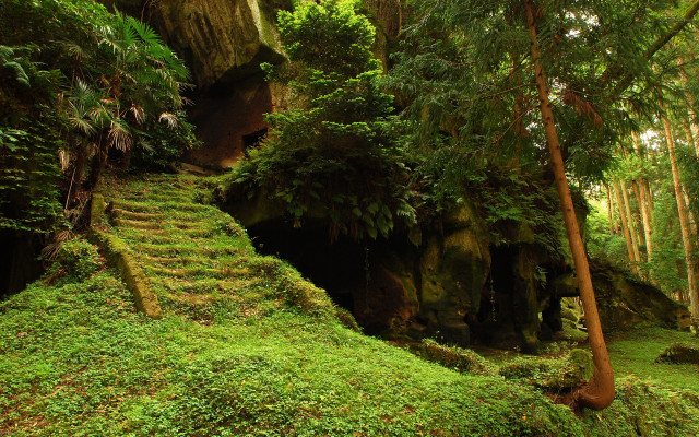 Lush green forest staircase cave #3 free wallpaper - medium preview image