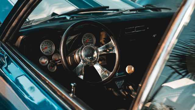 Car steeringwheel dashboard palmtree bluecardoor free wallpaper - medium preview image