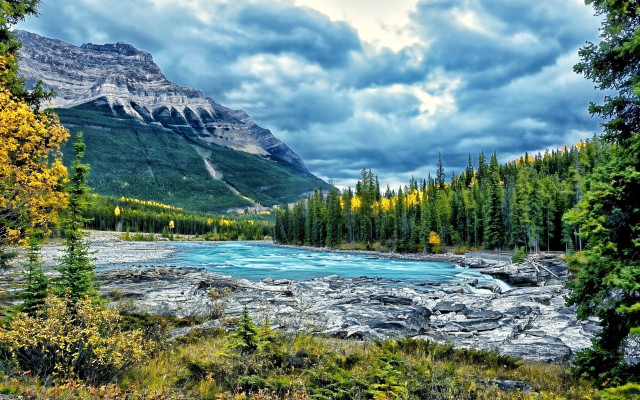River forest trees rocks cloudy free wallpaper - medium preview image