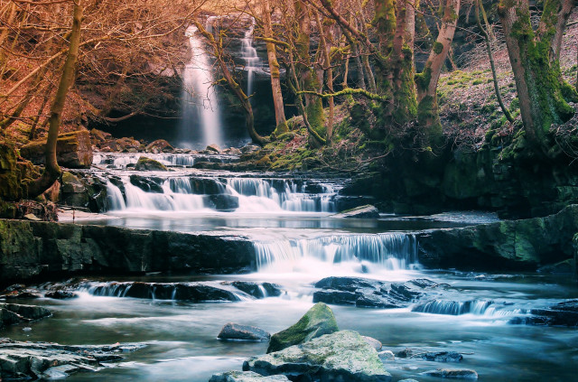 Waterfall forest rocks trees background free wallpaper - medium preview image