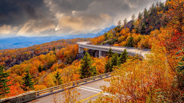 Scenic highway bridge fall leaves free wallpaper - medium preview image