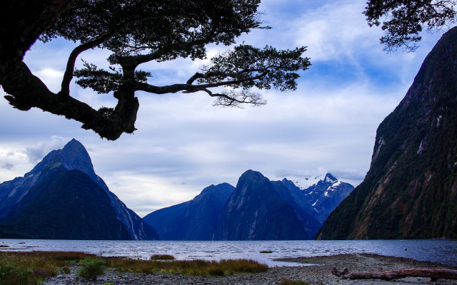 Tree water mountains cloudy sky free wallpaper - medium preview image