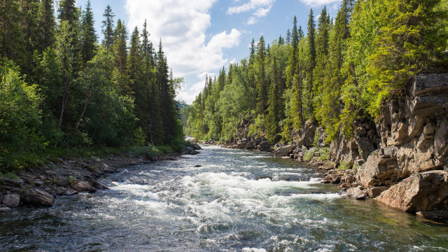 River forest rocks blue sky #2 free wallpaper - medium preview image
