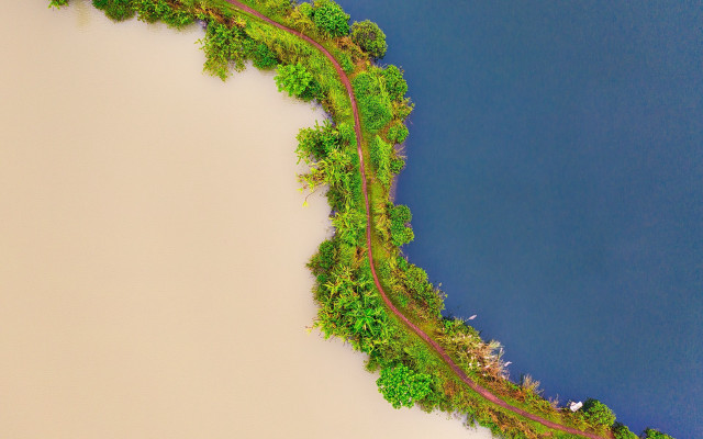 Train river flowers trees nature free wallpaper - medium preview image