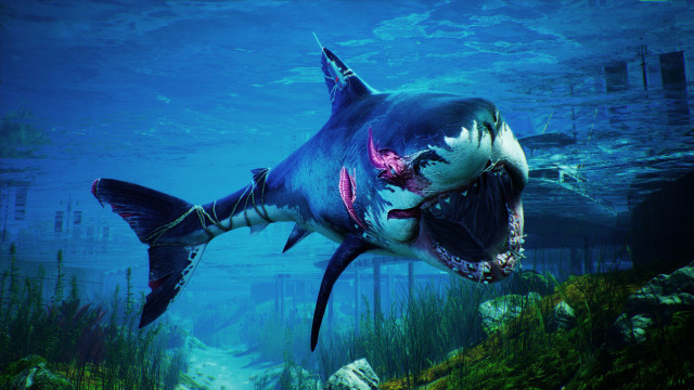 Shark open mouth ocean underwater free wallpaper - medium preview image