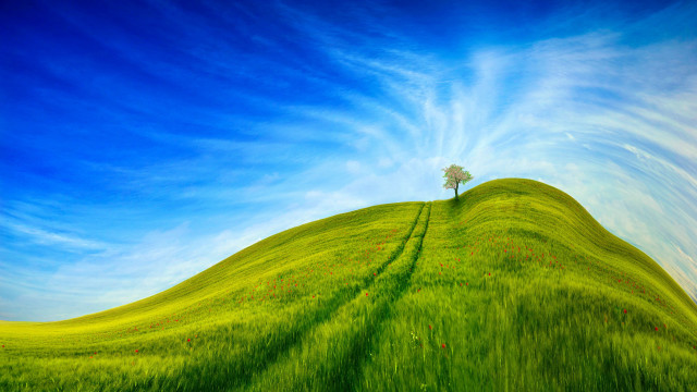 Tree hill green field blue free wallpaper - medium preview image