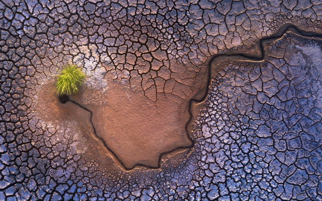 Barren land river tree bush free wallpaper - medium preview image