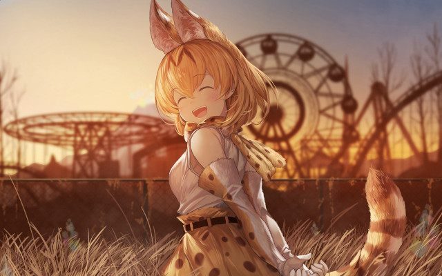 Girl dress field cat ferriswheel free wallpaper - medium preview image