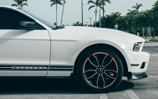 White mustang parking lot palm free wallpaper - medium preview image