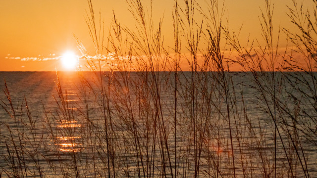 Sunset water tallgrass boat impressionist free wallpaper - medium preview image