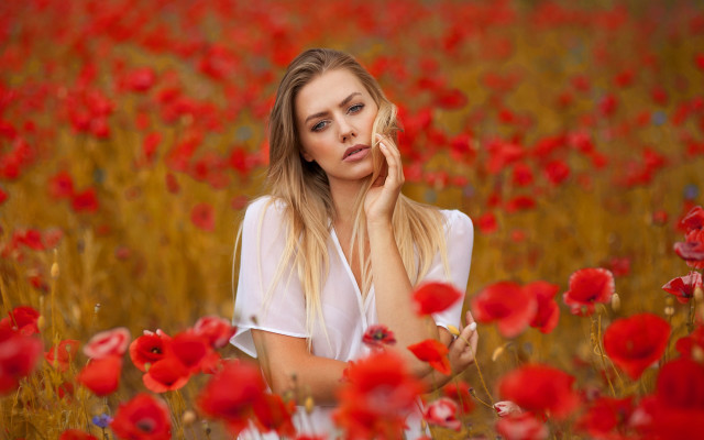 Woman redflowers serious portrait autumn free wallpaper - medium preview image