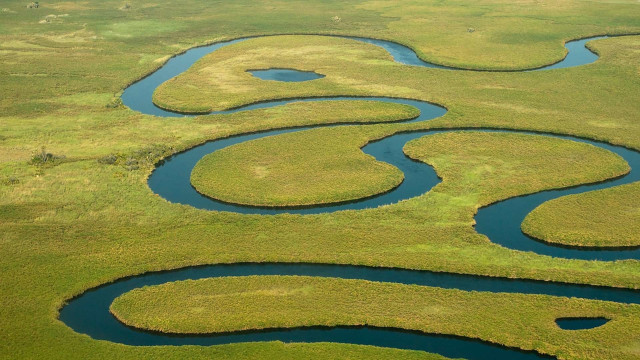 River forest green field ecological free wallpaper - medium preview image