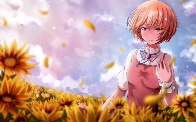 Sunflower girl autumn smile field free wallpaper - medium preview image