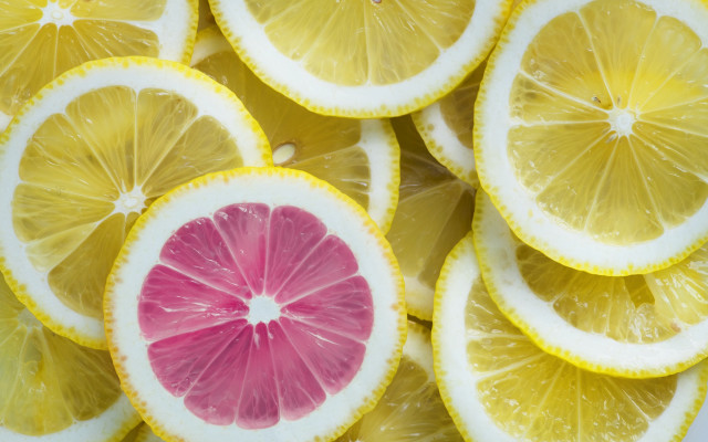 Lemon closeup colorful fauvism staudinger free wallpaper - medium preview image