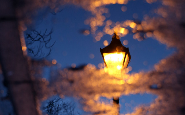 Puddle reflection lamp post bokeh free wallpaper - medium preview image
