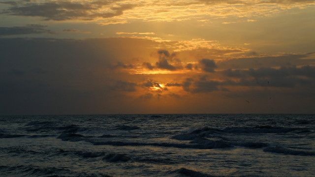 Sunset ocean clouds bird distant free wallpaper - medium preview image
