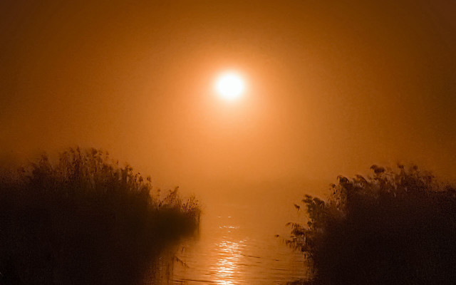 Foggy road light distant person free wallpaper - medium preview image