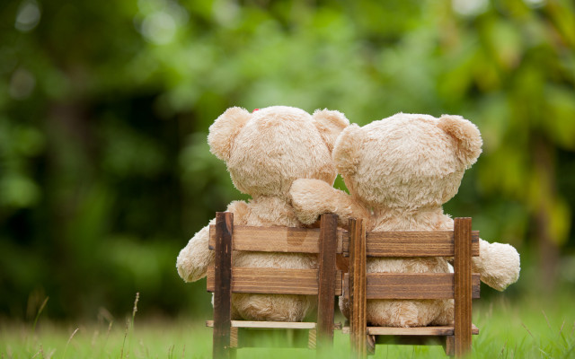 Teddy bears wooden bench love free wallpaper - medium preview image