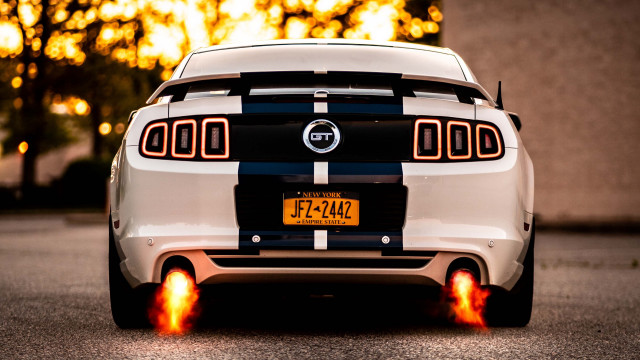 White mustang black stripe yellow free wallpaper - medium preview image