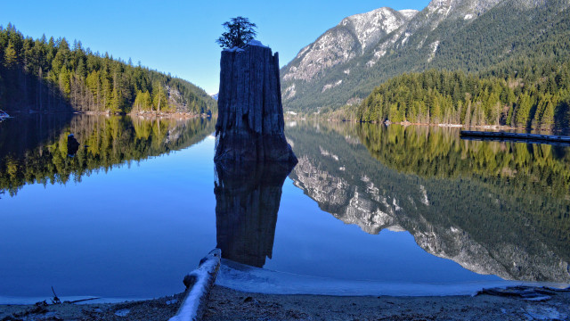 Lake mountains treestump tiltshift symmetry free wallpaper - medium preview image