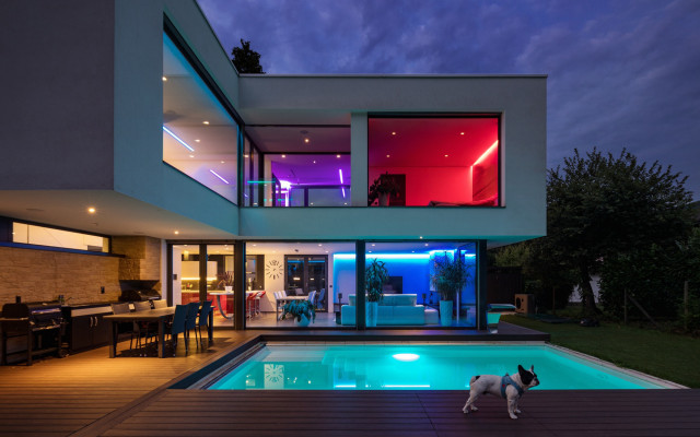 Dog pool night house deck free wallpaper - medium preview image