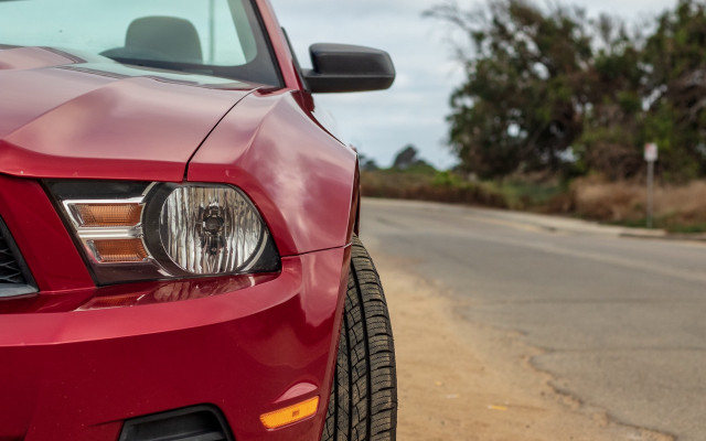 Red mustang forest road sign free wallpaper - medium preview image