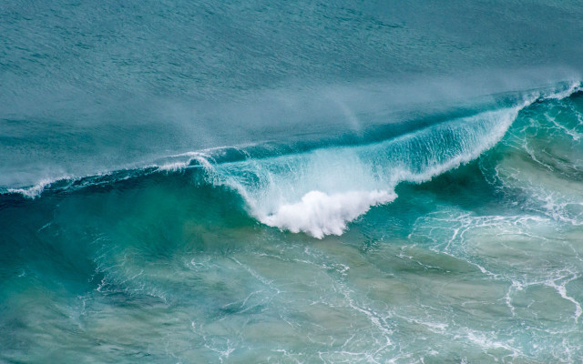 Wave bird boat ocean coast free wallpaper - medium preview image