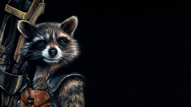 Raccoon gun leather outfit animal free wallpaper - medium preview image