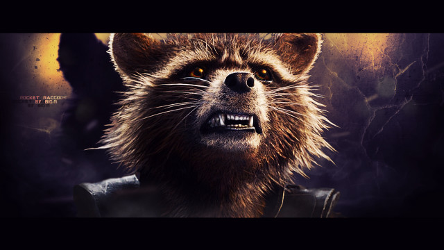 Creepy raccoon face mouth expression free wallpaper - medium preview image