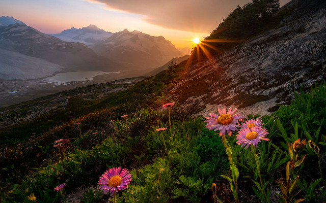Sunset mountain flower lake horizon free wallpaper - medium preview image