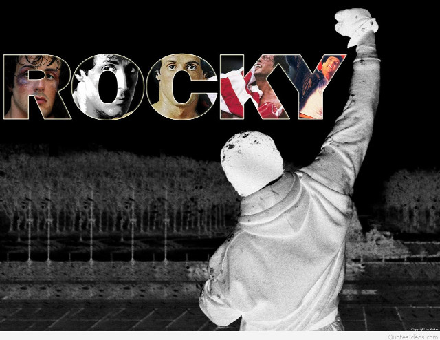 Man holding sign rocky stadium free wallpaper - medium preview image