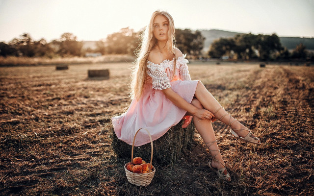 Woman sitting tree stump field free wallpaper - medium preview image