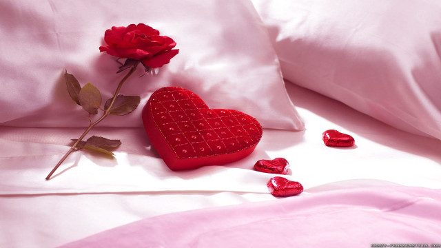 Red heart pillow bed rose free wallpaper - medium preview image