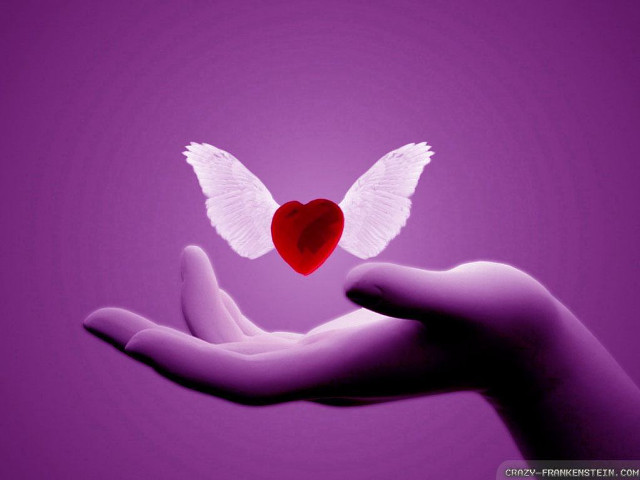 Hand heart wings flying purple free wallpaper - medium preview image