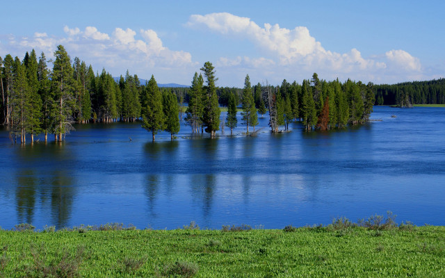 Lake forest hill sky bush #2 free wallpaper - medium preview image