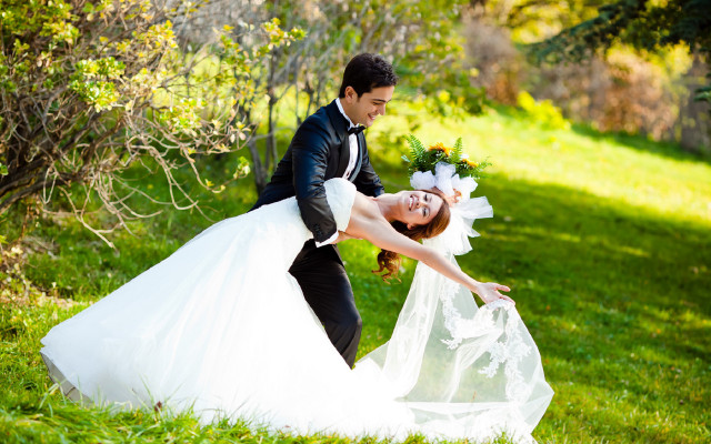 Bride groom posing grass together free wallpaper - medium preview image