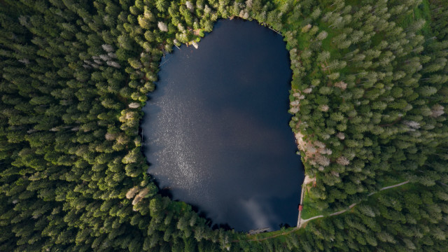 Lake forest trees sky nature free wallpaper - medium preview image