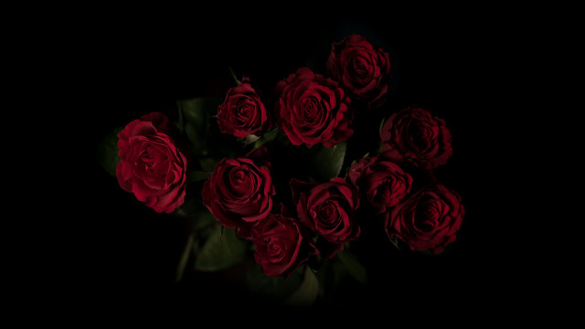 Red roses vase black background free wallpaper - medium preview image