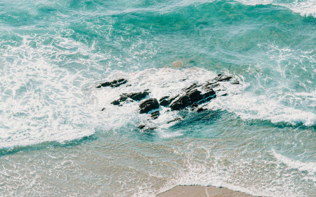 Rock ocean waves bird beach free wallpaper - medium preview image