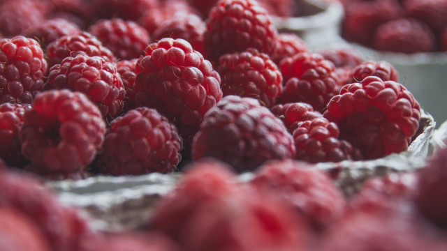 Raspberries tray market tiltshift blurry free wallpaper - medium preview image