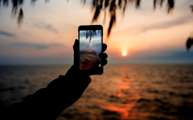 Sunset ocean palm tree phone free wallpaper - medium preview image