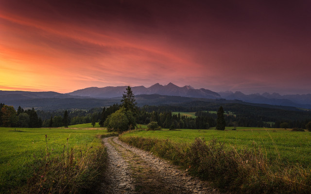 Dirt road green field cloudy #8 free wallpaper - medium preview image
