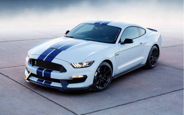 White mustang blue stripes fog free wallpaper - medium preview image