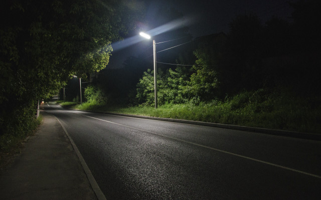 Night streetlight trees photorealistic nature free wallpaper - medium preview image