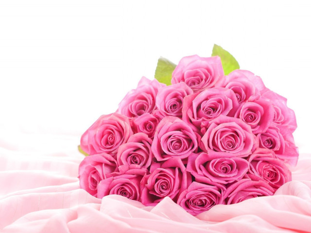 Pink roses bouquet white background free wallpaper - medium preview image