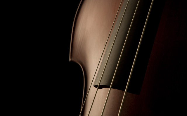 Cello reflection photorealism shallowfied flemishbaroque free wallpaper - medium preview image