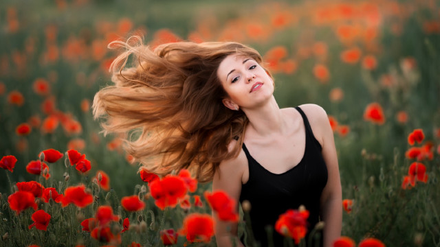 Woman long hair flower field #5 free wallpaper - medium preview image